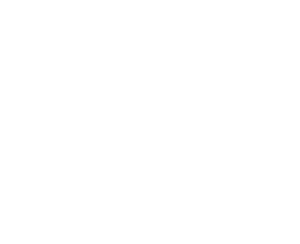 Web Adapt